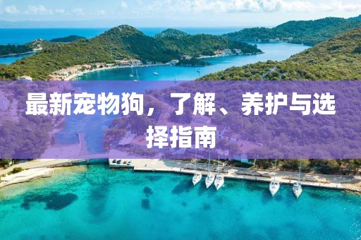 最新宠物狗，了解、养护与选择指南