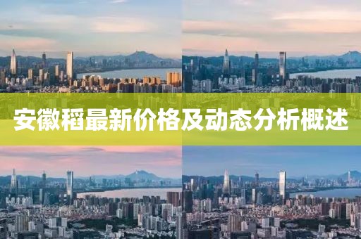安徽稻最新价格