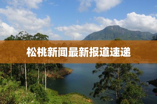 松桃新闻最新报道速递
