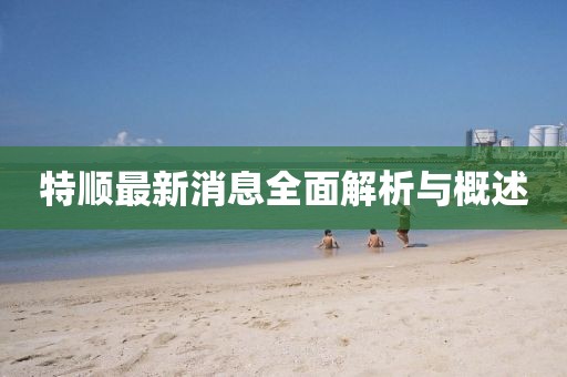 特顺最新消息全面解析与概述
