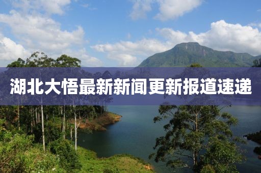 湖北大悟最新新闻更新报道速递