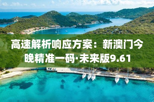 高速解析响应方案：新澳门今晚精准一码·未来版9.61
