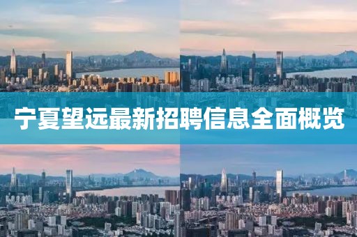 宁夏望远最新招聘信息全面概览