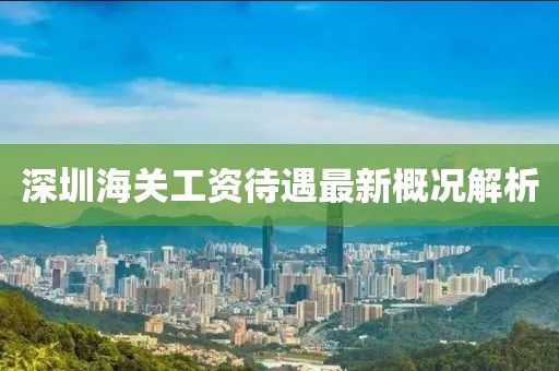 深圳海关工资待遇最新概况解析
