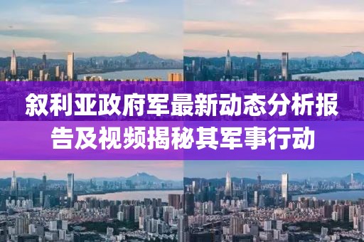 叙利亚政府军最新动态分析报告及视频揭秘其军事行动