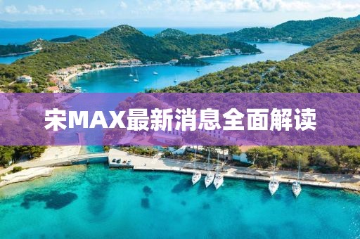 宋MAX最新消息全面解读