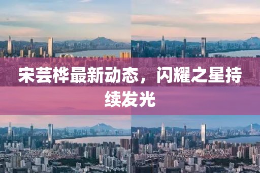 宋芸桦最新