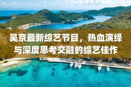 吴京最新的综艺