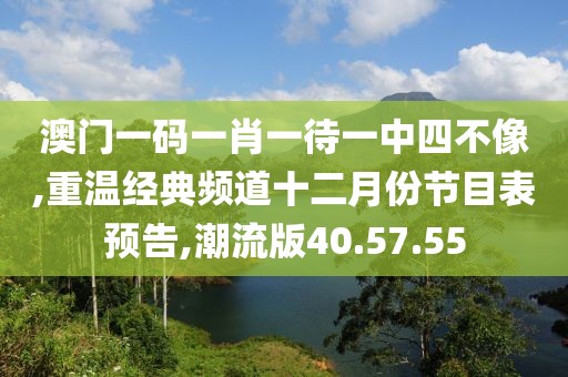 澳门一码一肖一待一中四不像,重温经典频道十二月份节目表预告,潮流版40.57.55