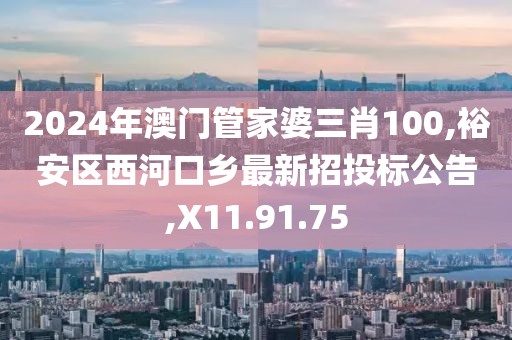 2024年澳门管家婆三肖100,裕安区西河口乡最新招投标公告,X11.91.75