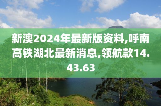 新澳2024年最新版资料,呼南高铁湖北最新消息,领航款14.43.63