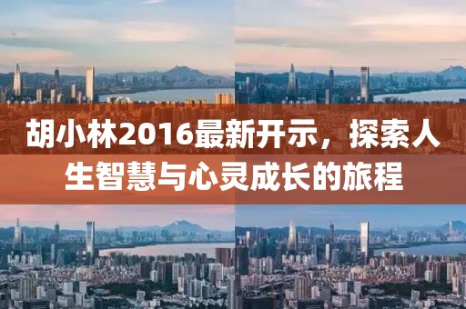 胡小林2016最新开示，探索人生智慧与心灵成长的旅程