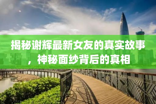 谢辉最新女友