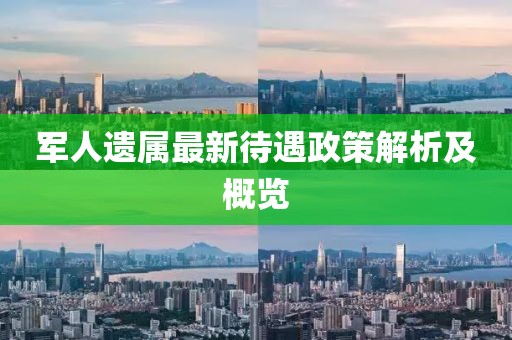 军人遗属最新待遇政策解析及概览