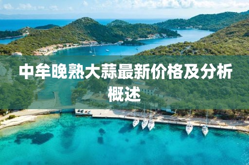 中牟晚熟大蒜最新价格及分析概述