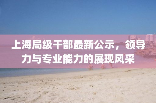 上海局级干部最新公示，领导力与专业能力的展现风采