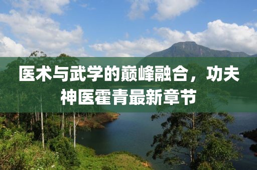 医术与武学的巅峰融合，功夫神医霍青最新章节