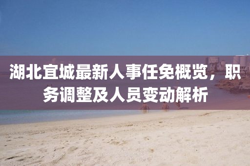 湖北宜城最新人事任免概览，职务调整及人员变动解析