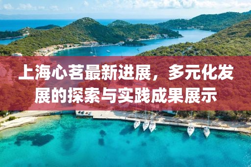 上海心茗最新进展，多元化发展的探索与实践成果展示
