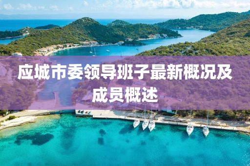 应城市委领导班子最新概况及成员概述