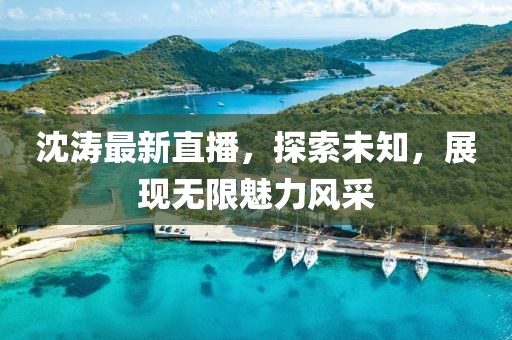 沈涛最新直播
