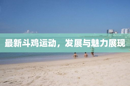 最新斗鸡运动，发展与魅力展现