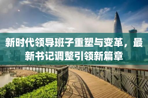 最新书记调整