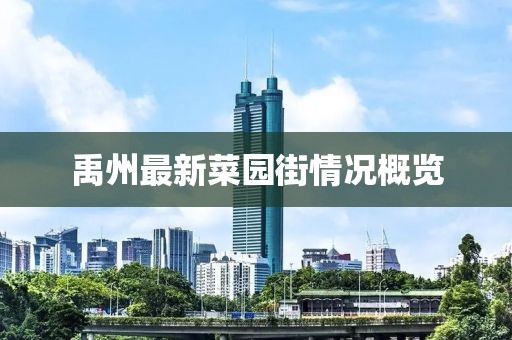 禹州最新菜园街情况概览