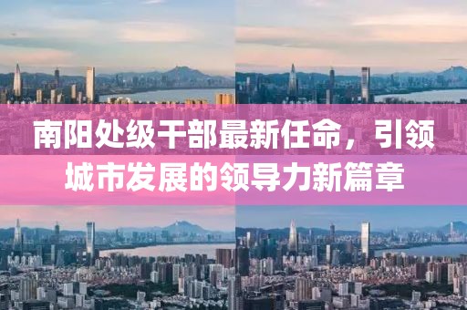 南阳处级干部最新任命，引领城市发展的领导力新篇章