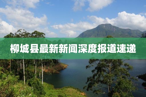 柳城县最新新闻深度报道速递