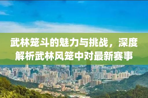 武林笼斗的魅力与挑战，深度解析武林风笼中对最新赛事