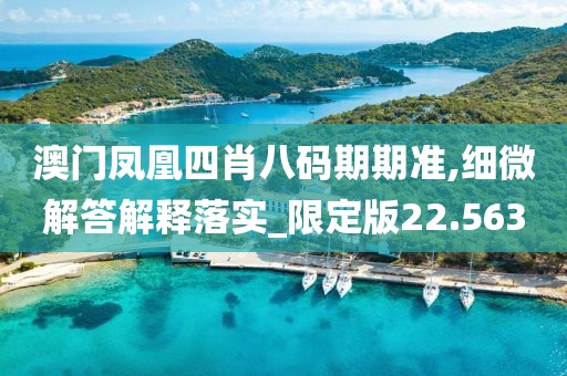 澳门凤凰四肖八码期期准,细微解答解释落实_限定版22.563