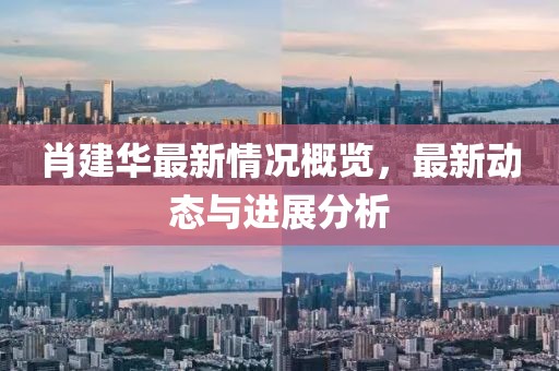 肖建华最新情况概览，最新动态与进展分析