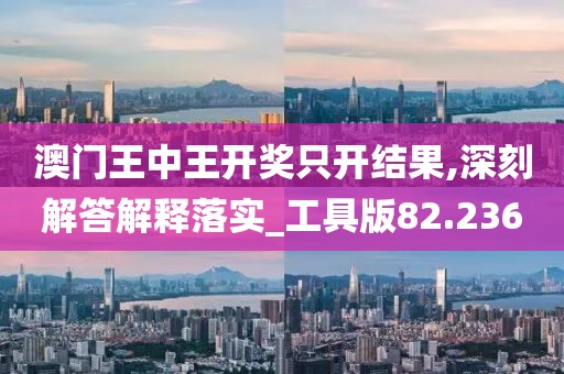 澳门王中王开奖只开结果,深刻解答解释落实_工具版82.236