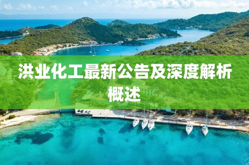 洪业化工最新公告及深度解析概述