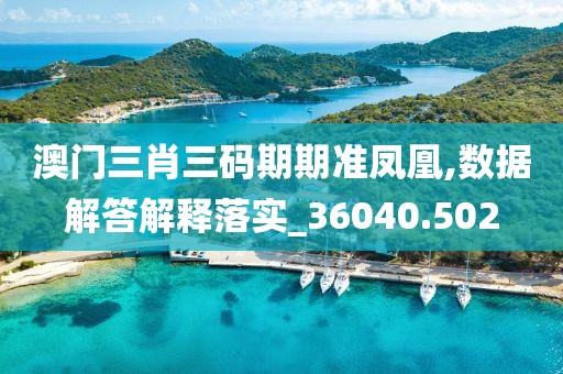 澳门三肖三码期期准凤凰,数据解答解释落实_36040.502