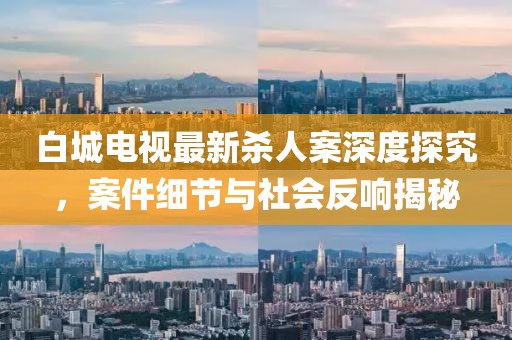 白城电视最新杀人案深度探究，案件细节与社会反响揭秘