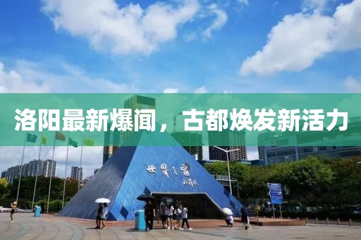 洛阳最新爆闻