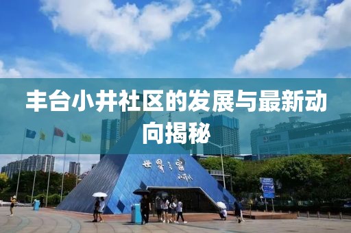 丰台小井社区的发展与最新动向揭秘