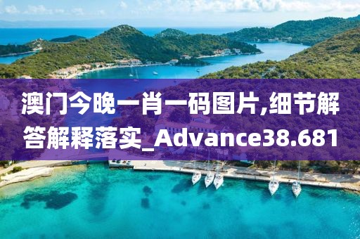 澳门今晚一肖一码图片,细节解答解释落实_Advance38.681