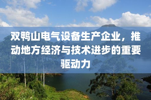 双鸭山电气设备生产企业，推动地方经济与技术进步的重要驱动力