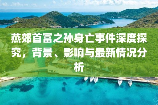 燕郊首富之孙身亡事件深度探究，背景、影响与最新情况分析