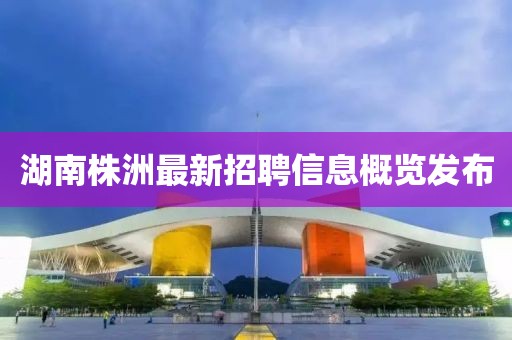 湖南株洲最新招聘信息概览发布