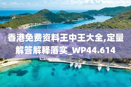 香港免费资料王中王大全,定量解答解释落实_WP44.614