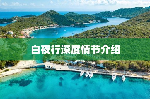 白夜行深度情节介绍