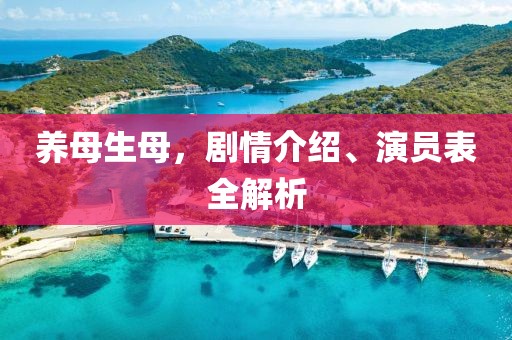 养母生母，剧情介绍、演员表全解析