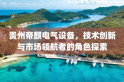 贵州帝麒电气设备，技术创新与市场领航者的角色探索