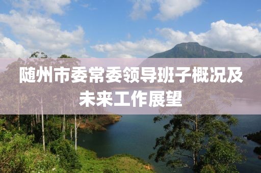 随州市委常委领导班子概况及未来工作展望