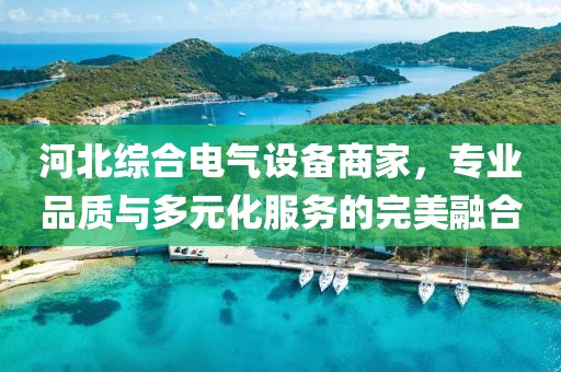 河北综合电气设备商家，专业品质与多元化服务的完美融合