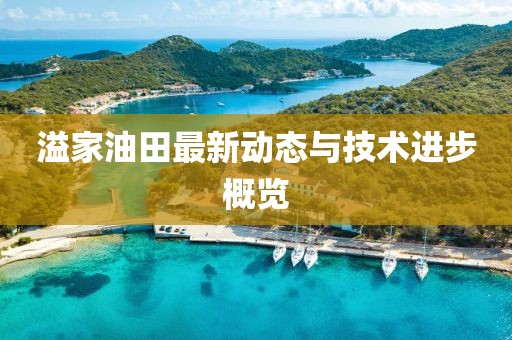 溢家油田最新